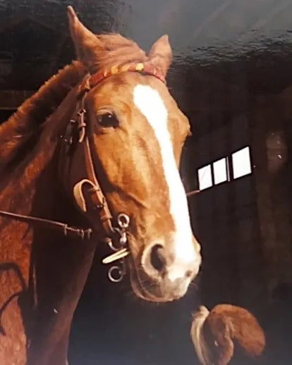 Epona, la jument qui a inspiré Constel'Hope – hommage équestre en créations artisanales crin et résine faites main